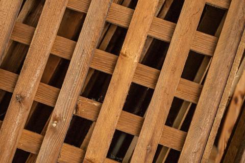 a close up picture of garden decking trellis